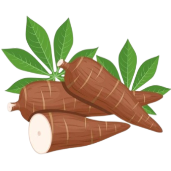 Ubi Kayu